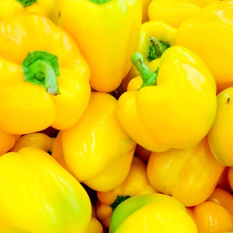 Miniature Yellow Bell Pepper