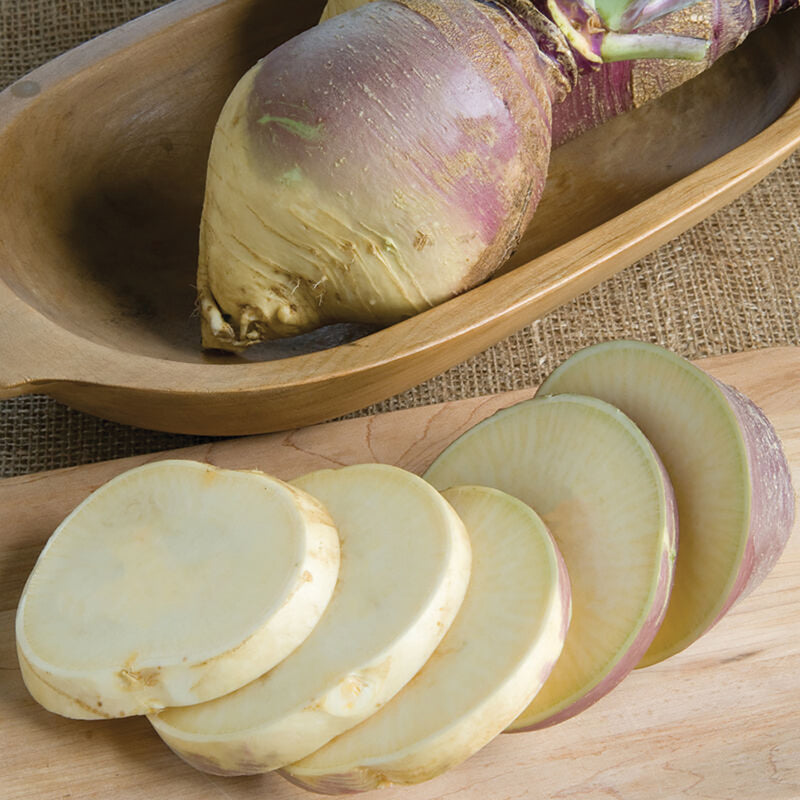 Rutaba Rani Laurentian Rutabaga – MIgardener