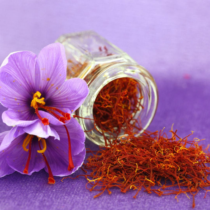 Saffron Crocus (10 ct)