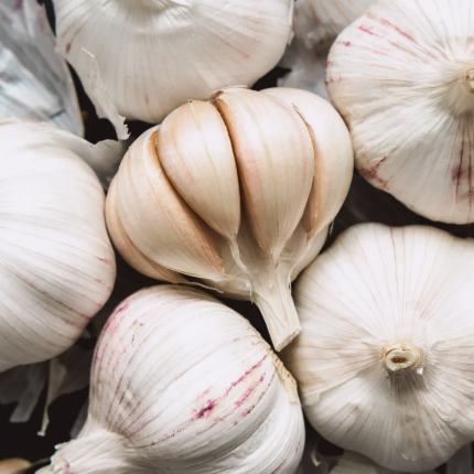 Sicilian (Softneck) Garlic