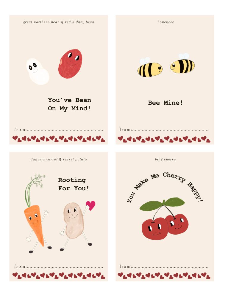 MIgardener Valentine Garden Theme Printable Cards