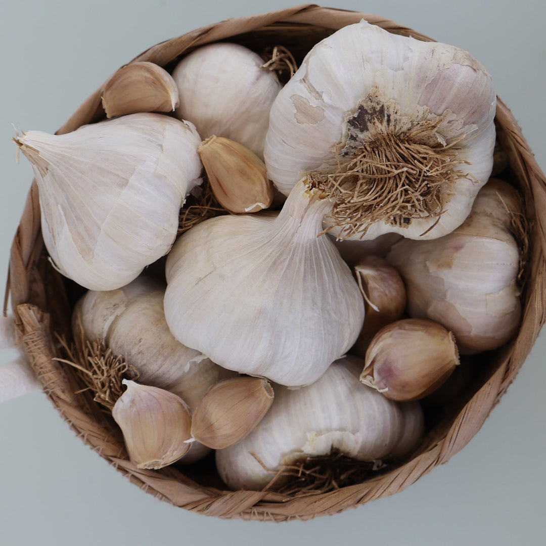 Susanville (Softneck) Garlic