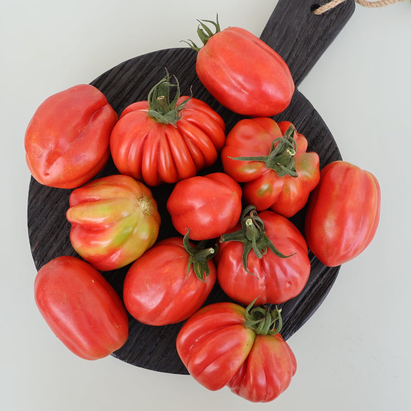 Royale Paste Tomato