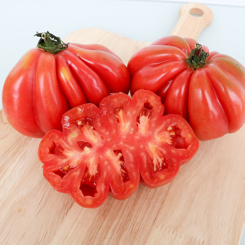Royale Paste Tomato