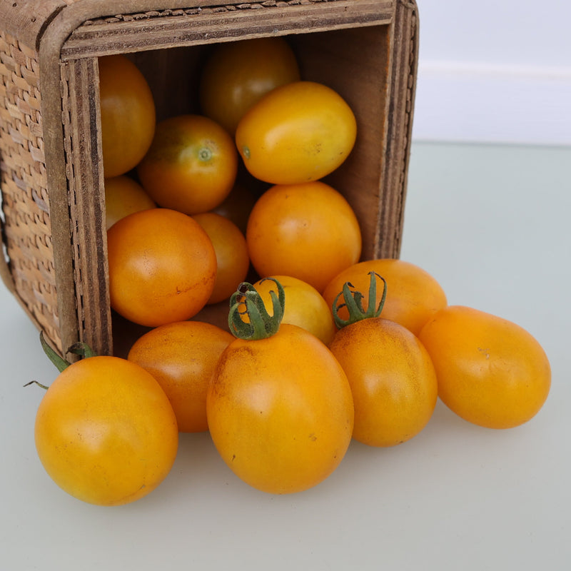 Tangerine Krim Tomato