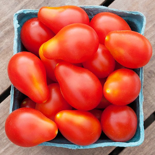 Red Pear Tomato – MIgardener