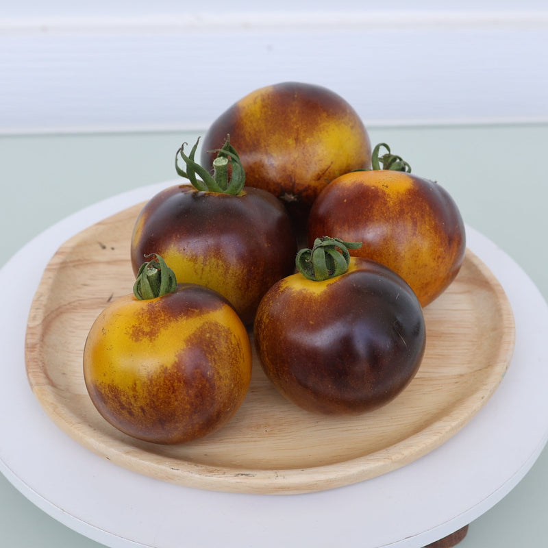 Solar Eclipse Tomato