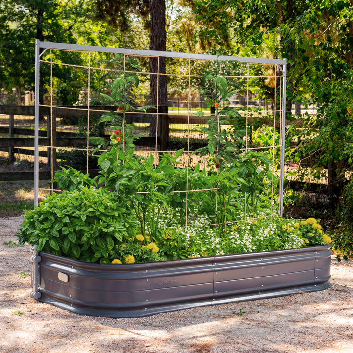 garden plant support trellis Metal Frame String Trellis, 6.5'