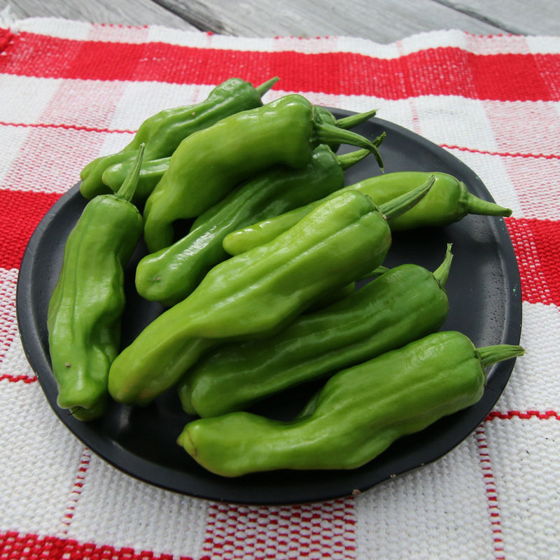 Pepperoncini Pepper