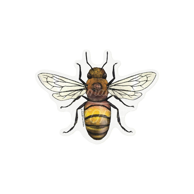 Eco-Sticker: Honey Bee