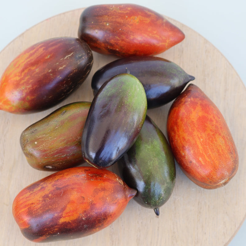Black Out Roma Tomato