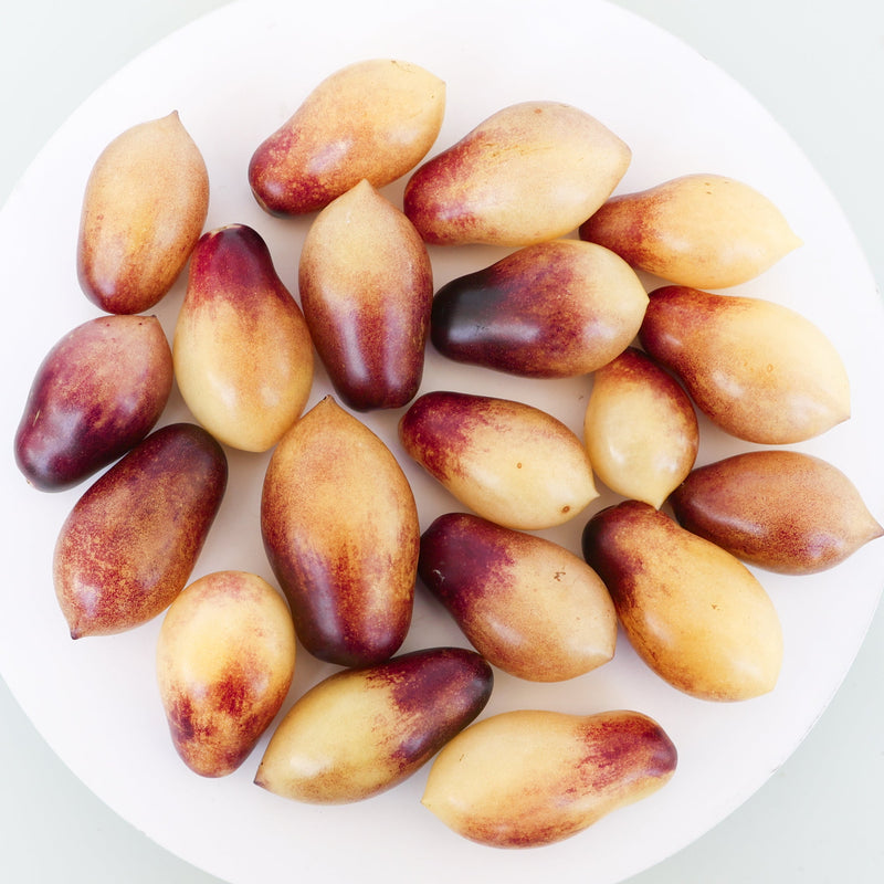 Bubblegum Centiflor Tomato