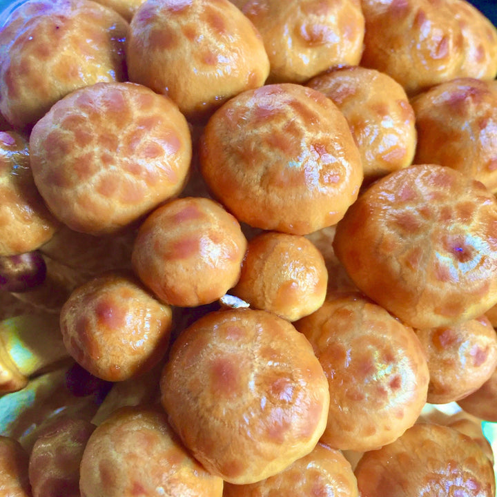Nameko &