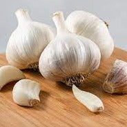 German White Garlic (Hardneck)