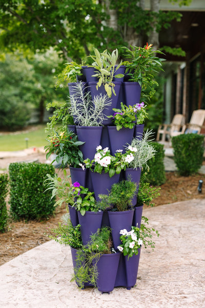 5 Tier GreenStalk Original Vertical Planter | Blackberry (Basic Texture) 