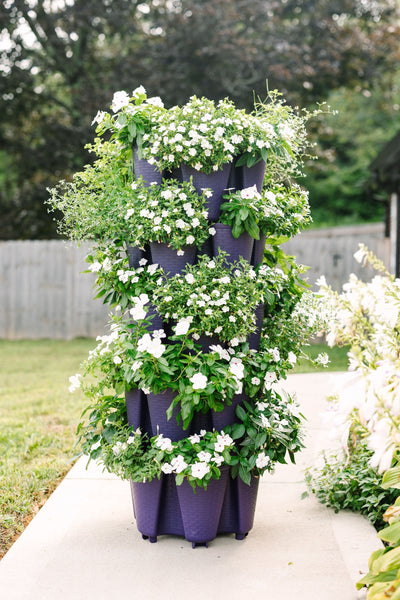 5 Tier GreenStalk Original Vertical Planter | Blackberry (Basket Weave Texture) 