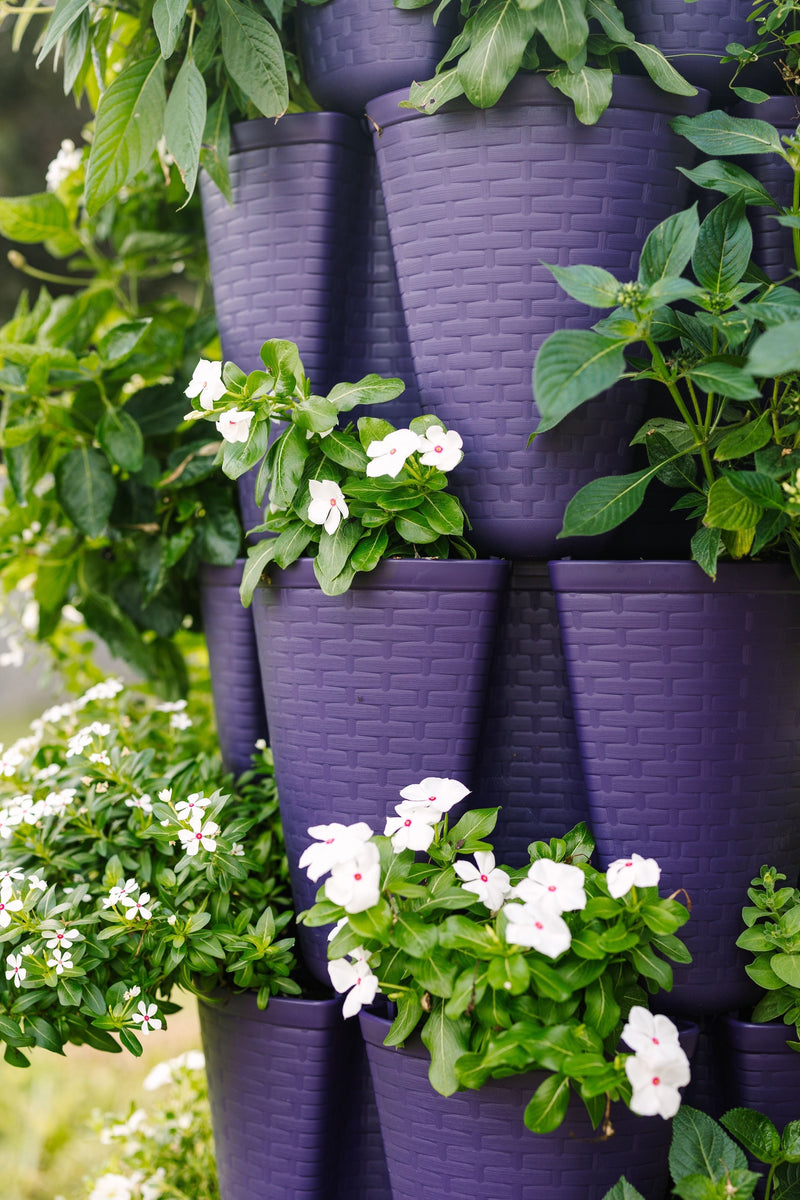 5 Tier GreenStalk Original Vertical Planter | Blackberry (Basket Weave Texture) 