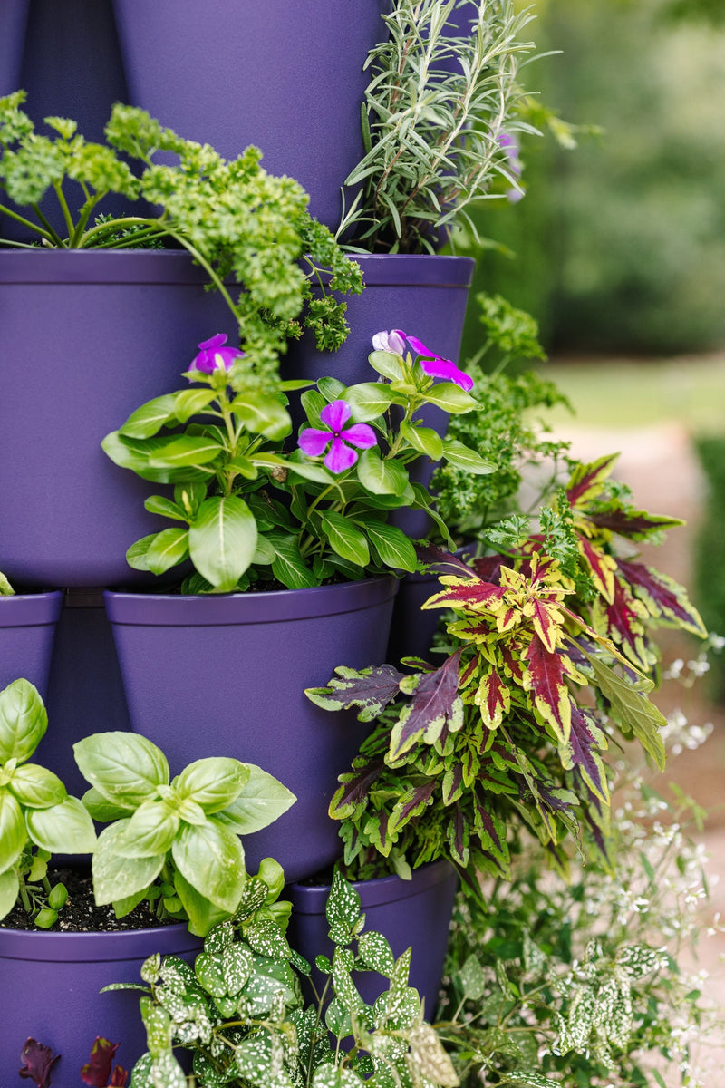 7 Tier GreenStalk Leaf Vertical Planter | Blackberry (Basic Texture) 