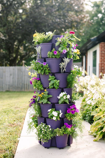 7 Tier GreenStalk Leaf Vertical Planter | Blackberry (Basket Weave Texture) 