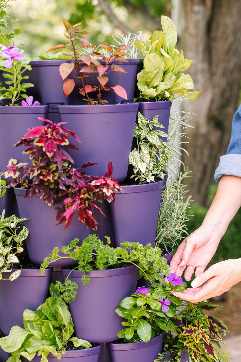 7 Tier GreenStalk Leaf Vertical Planter | Blackberry (Basic Texture) 