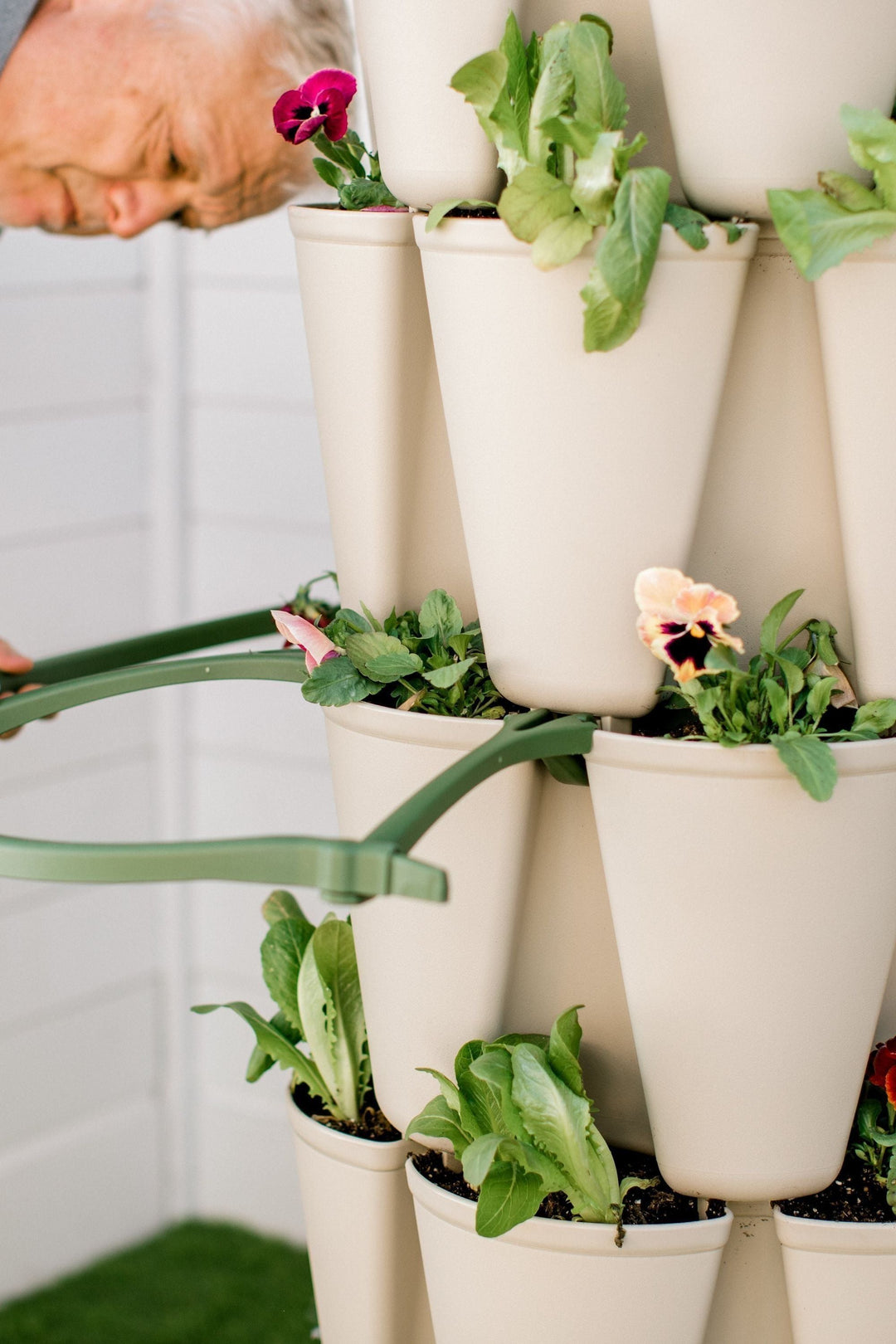 house plant support GreenStalk Garden Plant Support (Set of 3) – MIgardener