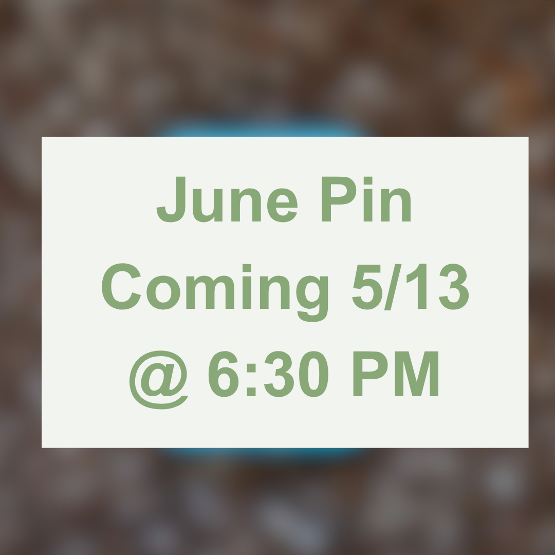 Pin of the Month *Limited Edition*
