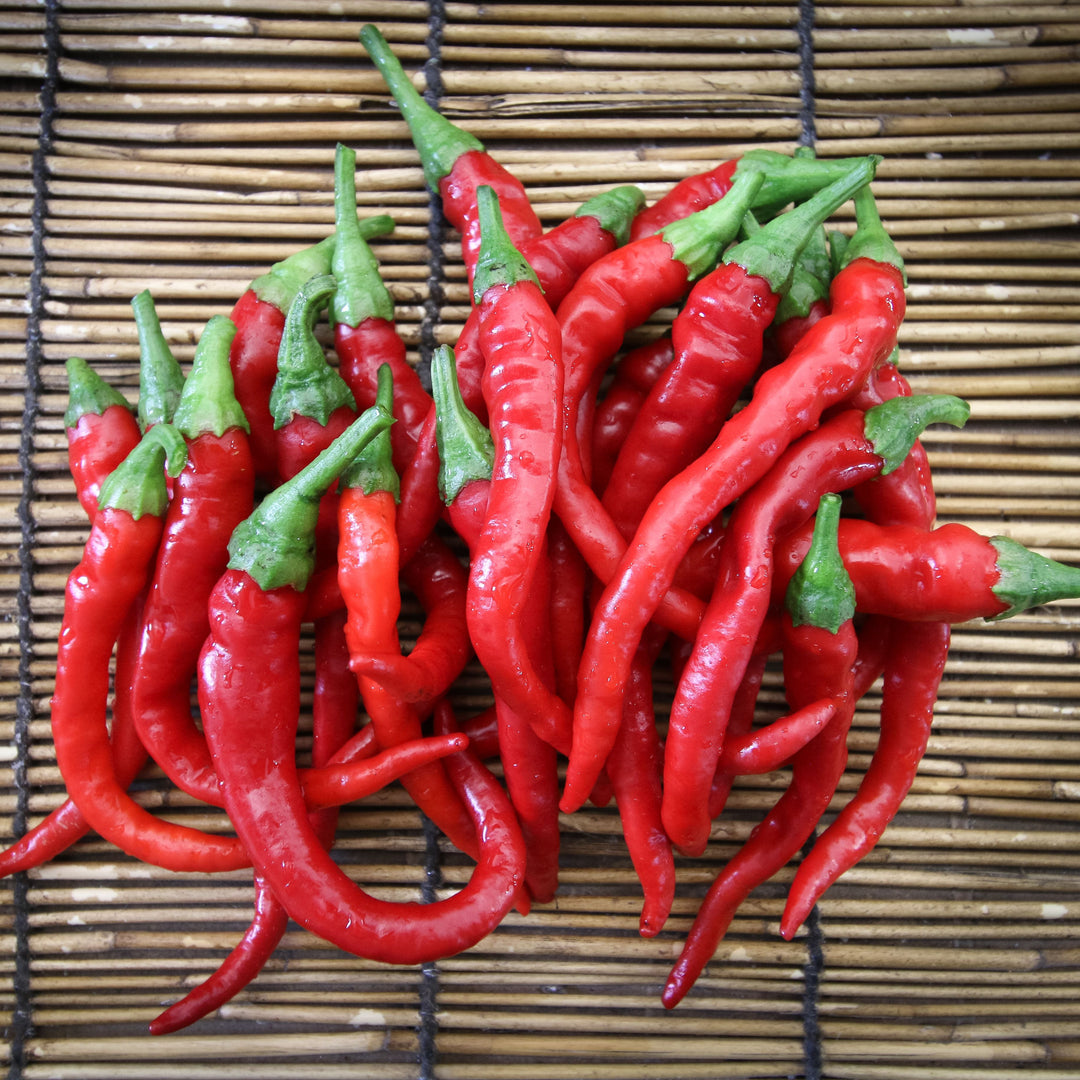 Cayenne Long Slim Pepper – MIgardener