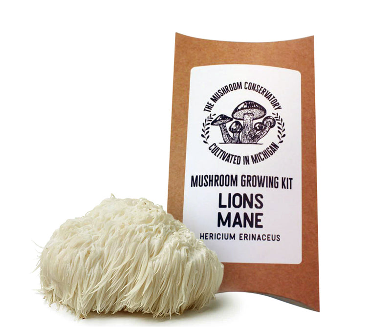 Lions Mane Mushroom Growing Kit