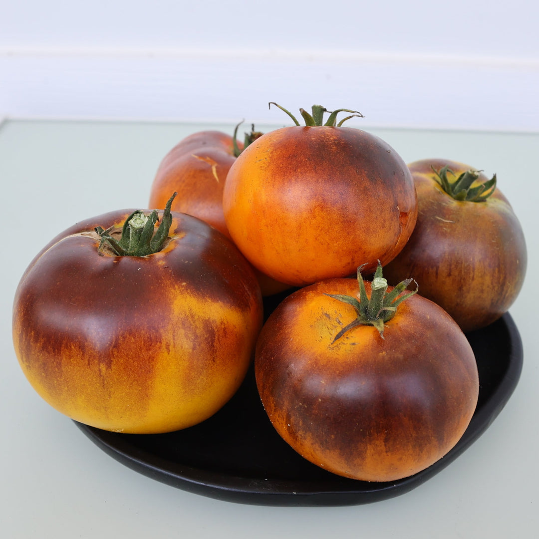 Lucid Gem Tomato
