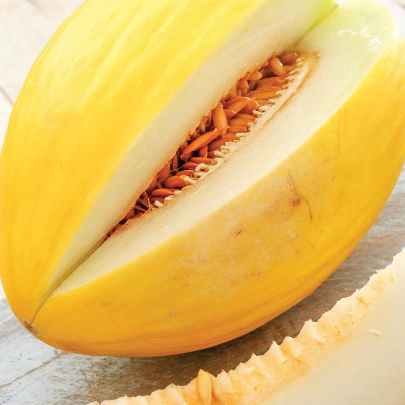 Crenshaw Melon – MIgardener