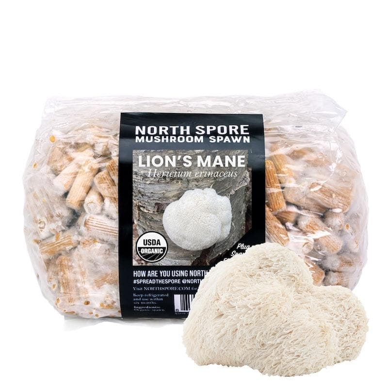Organic Lion&