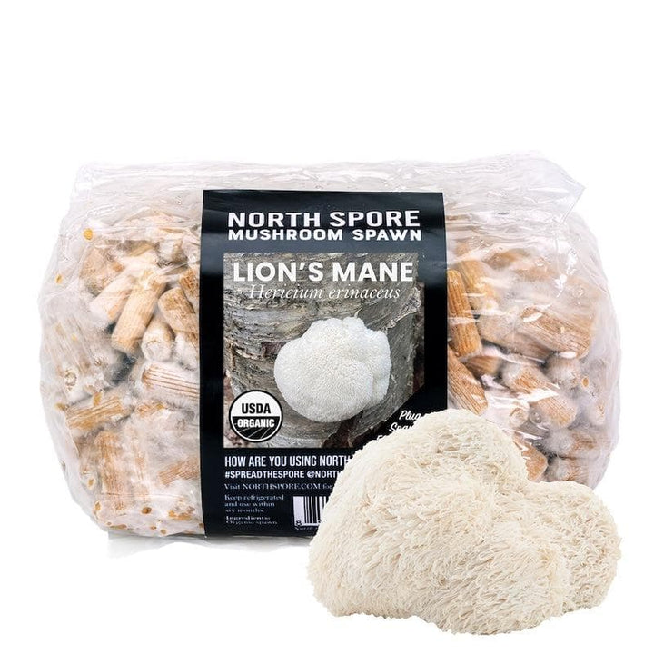 Organic Lion&