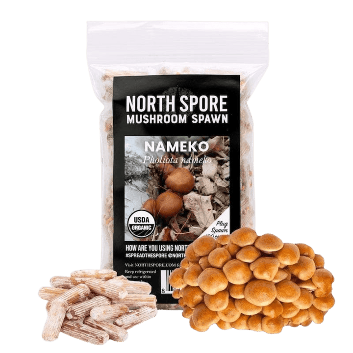 Organic Nameko Mushroom Plug Spawn