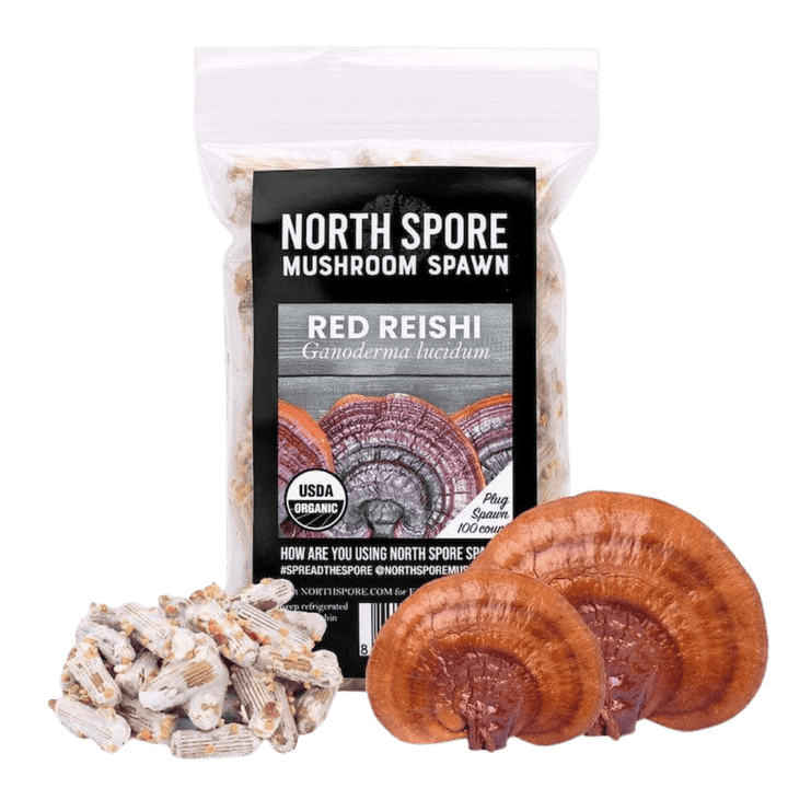 Organic Red Reishi Mushroom Plug Spawn