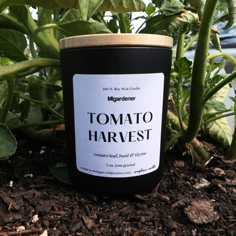 Tomato Harvest Candle by MIgardener x Creephaus