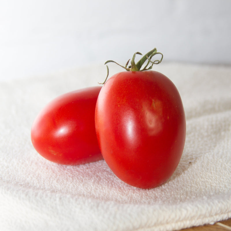 Quadro Tomato