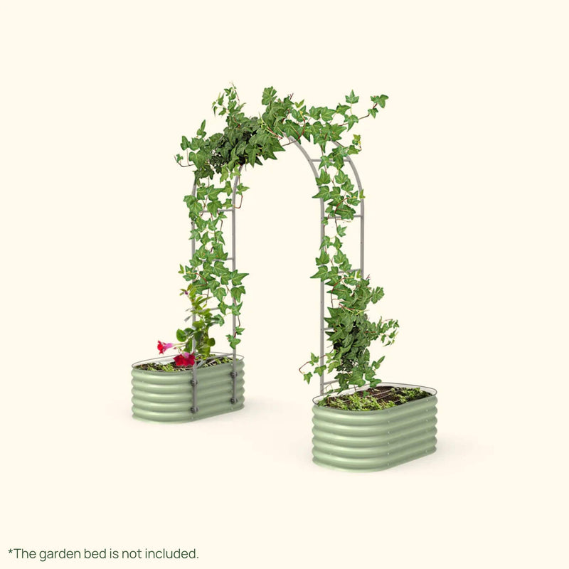 Arched Raised Bed Trellis System