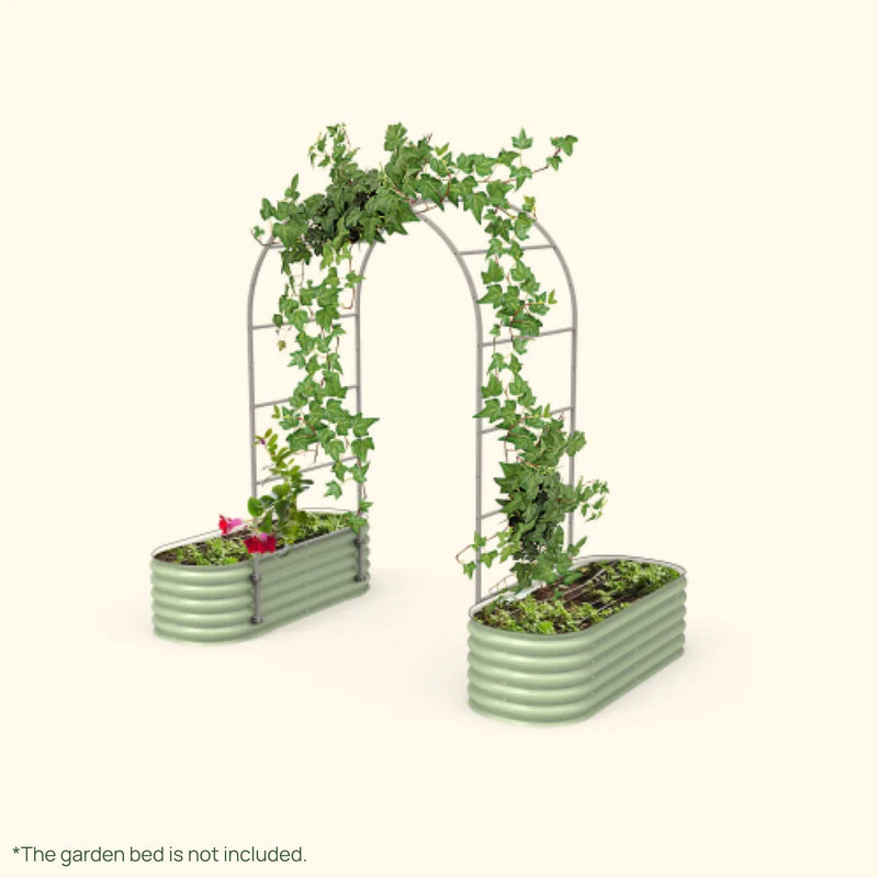 Arched Raised Bed Trellis System