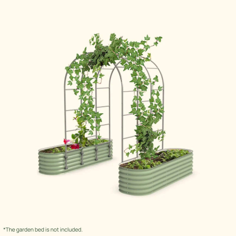 Arched Raised Bed Trellis System