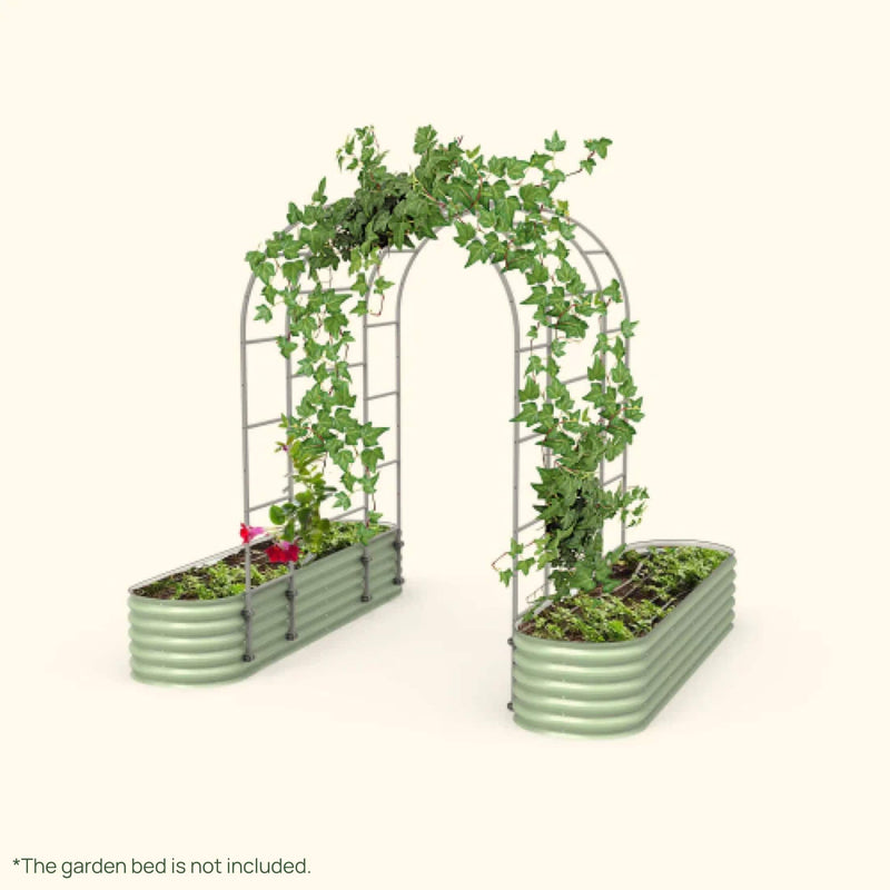 Arched Raised Bed Trellis System