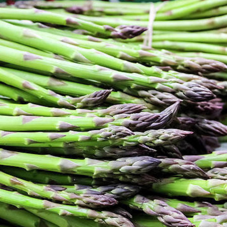 Asparagus – MIgardener