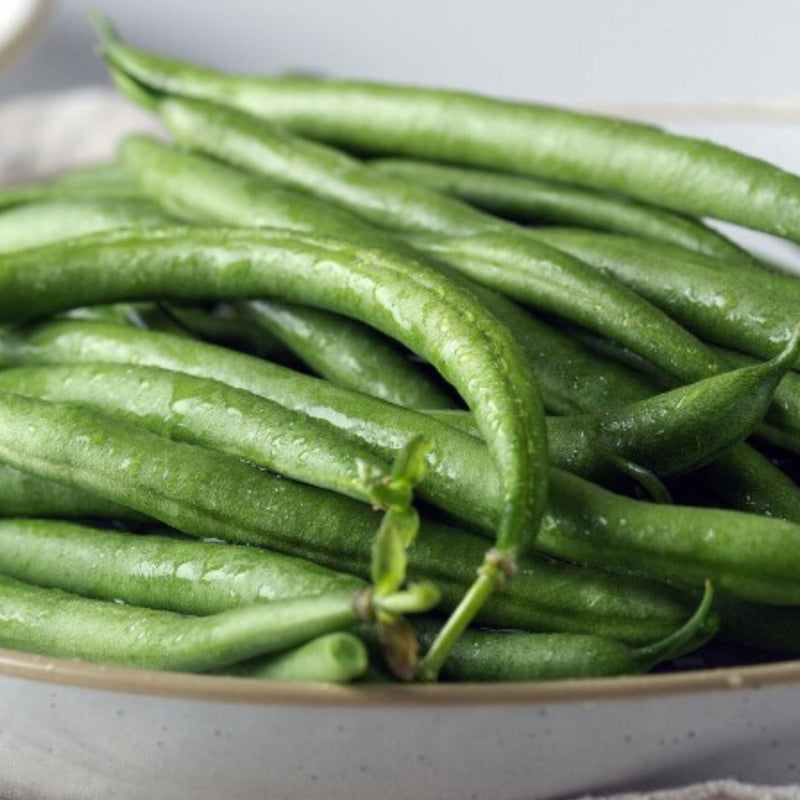 Tavera Haricot Vert Bean