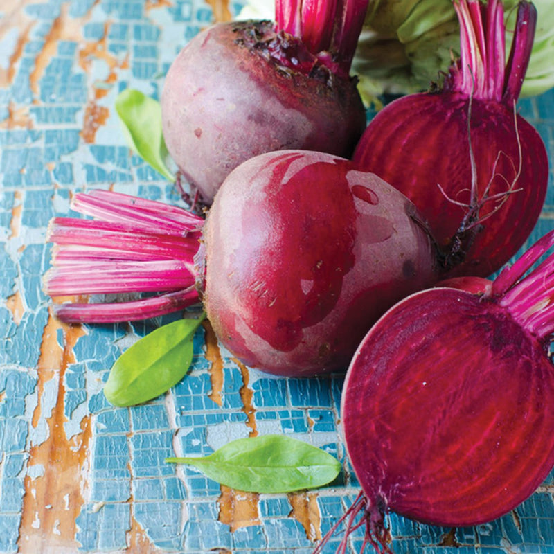 Ruby Qween Ruby Queen Beet – MIgardener