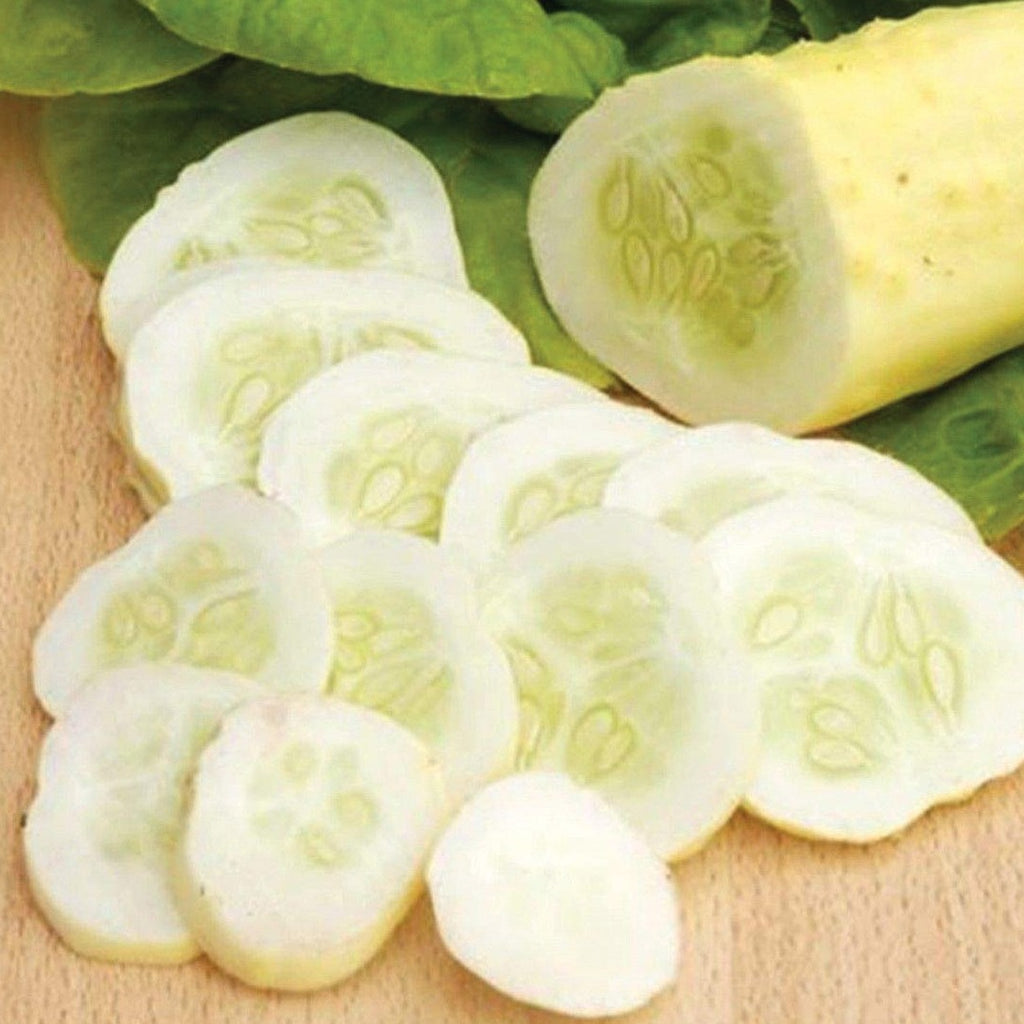 Fresh Organic White Wonder Cucumber Seeds - Non-GMO, Perfect For 2025 Growing Season