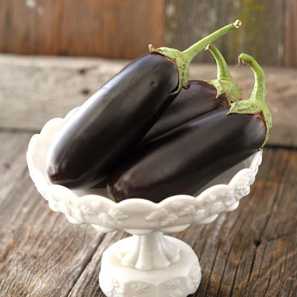 water eggplant E-Tender - Water Eggplant Seeds - SeedsDay