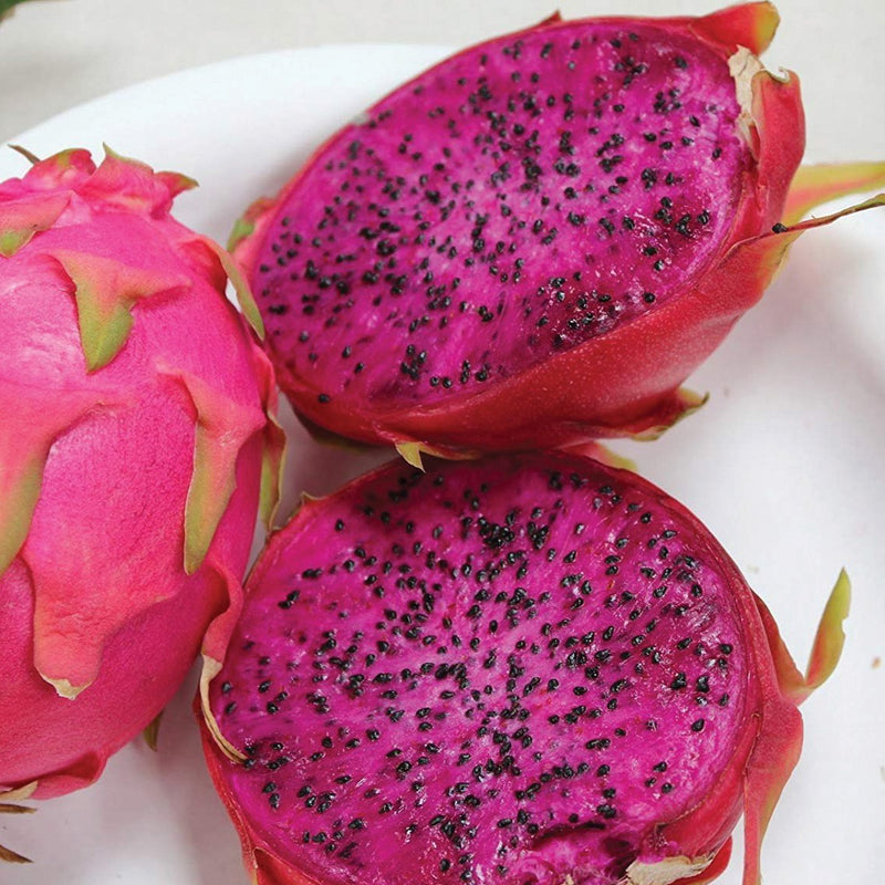 Purple Dragonfruit