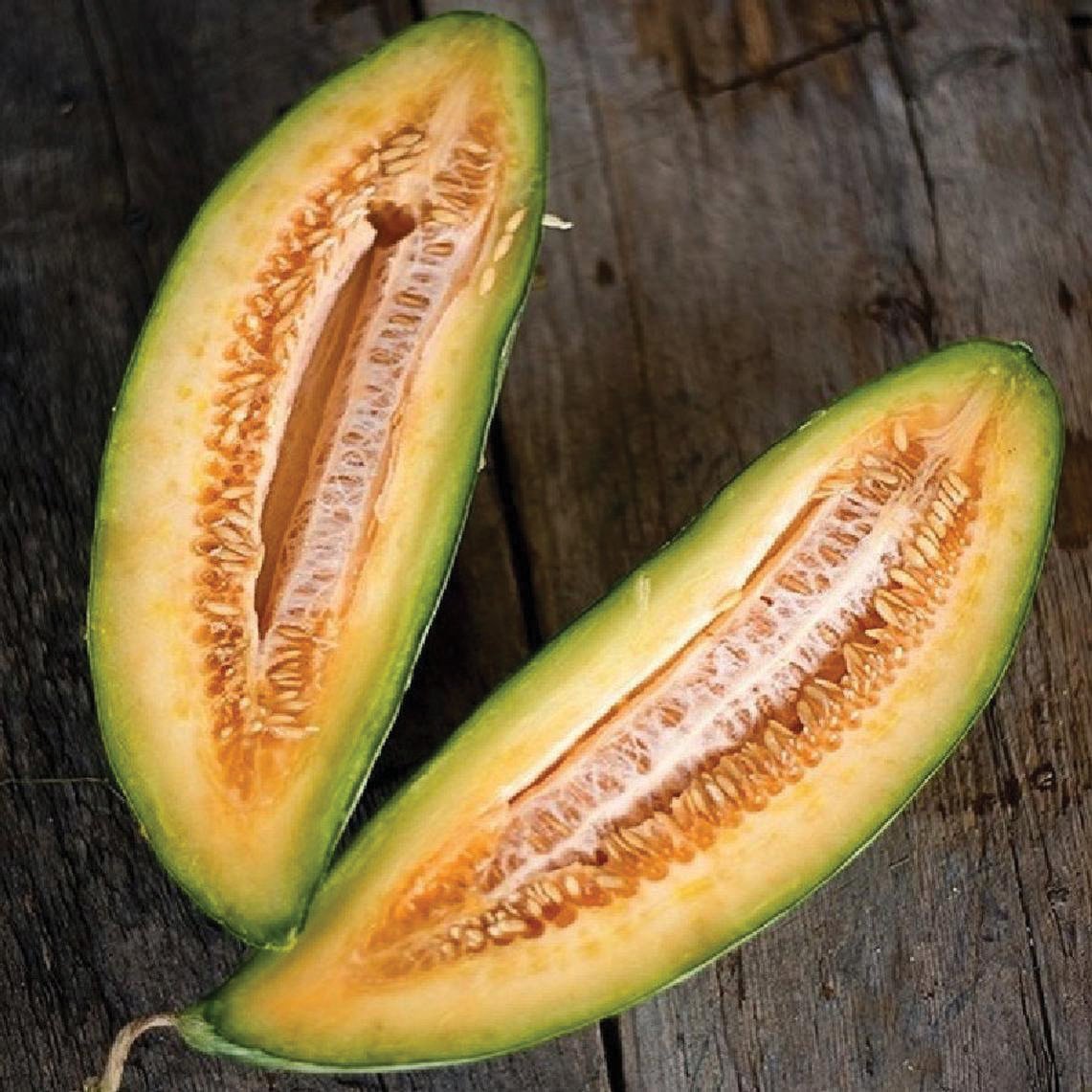 Banana Melon – MIgardener