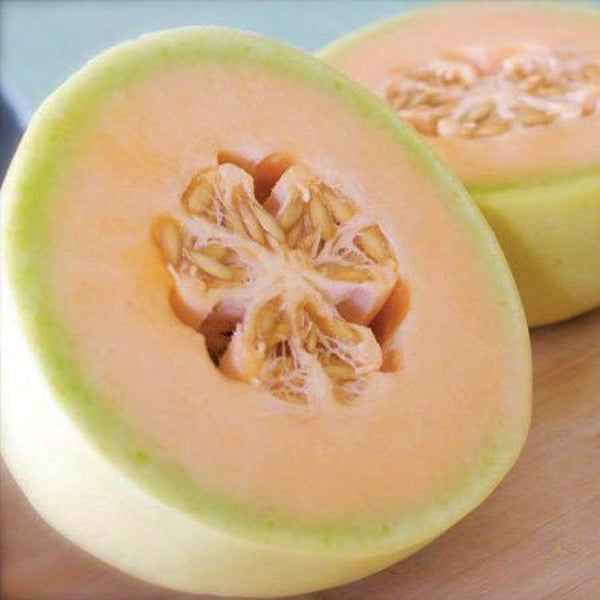 Honeydew with orange gooey substance in the middle? No smell other than the  melon as it should be. : r/fruit