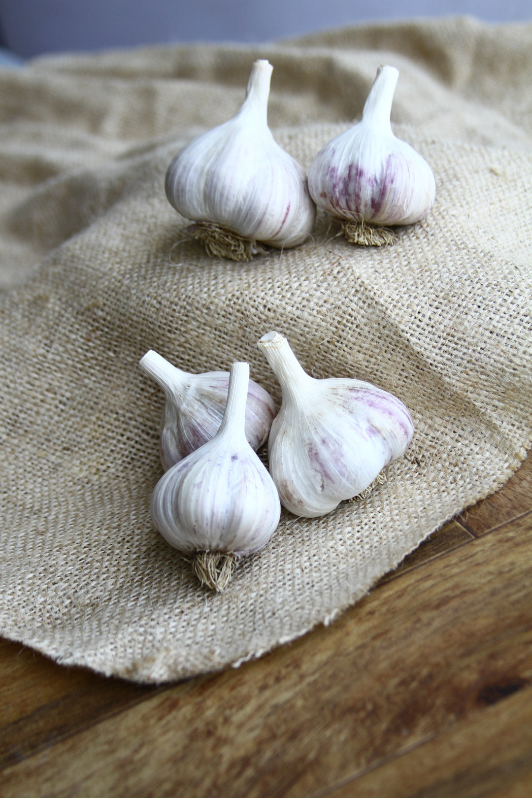 Metechi Metechi (Hardneck) Garlic – MIgardener