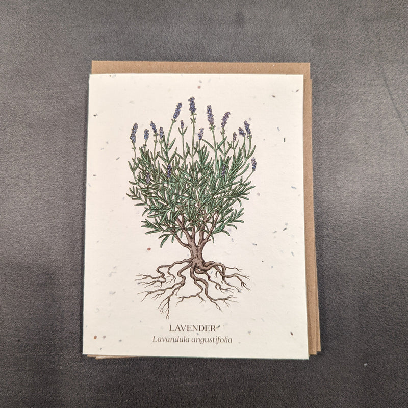 Botanical Plantable Seed Cards